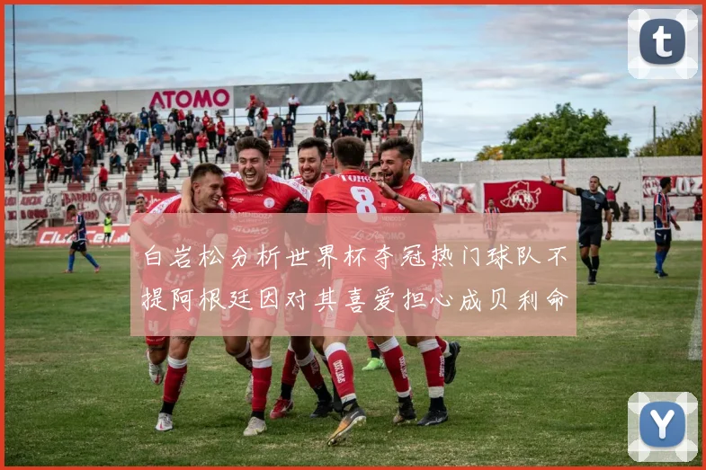 白岩松分析世界杯夺冠热门球队不提阿根廷因对其喜爱担心成贝利命运
