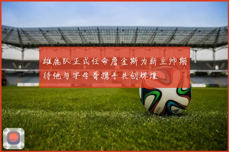 雄鹿队正式任命詹金斯为新主帅期待他与字母哥携手共创辉煌
